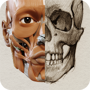 3D Anatomy for the Artist