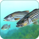 Fishing Fanatic Fishing App with Solunar Charts