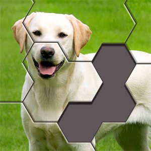 Hexa Jigsaw Puzzle Logo b