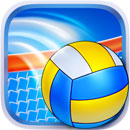 Volleyball Champions 3D 2014 Logo