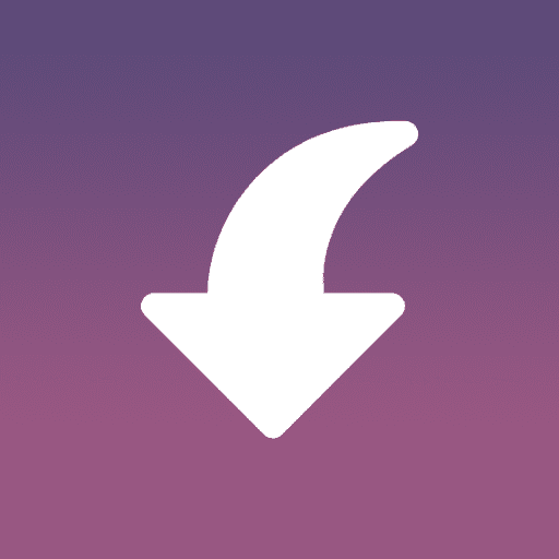 insget instagram downloader logo