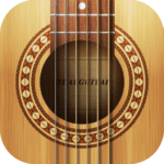 Real Guitar Virtual Guitar Logo.png